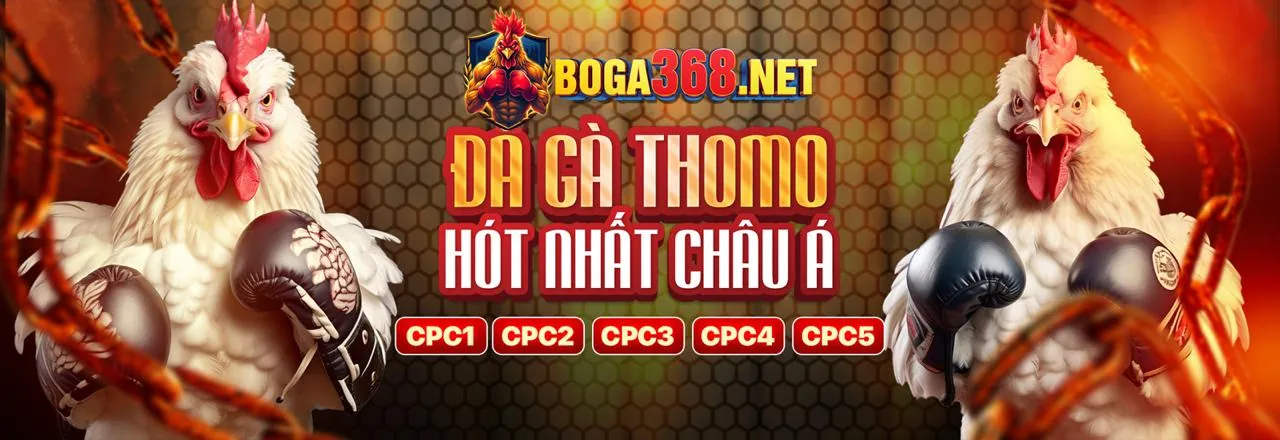 Đấu trường đá gà trực tuyến sôi động tại VN68 Login